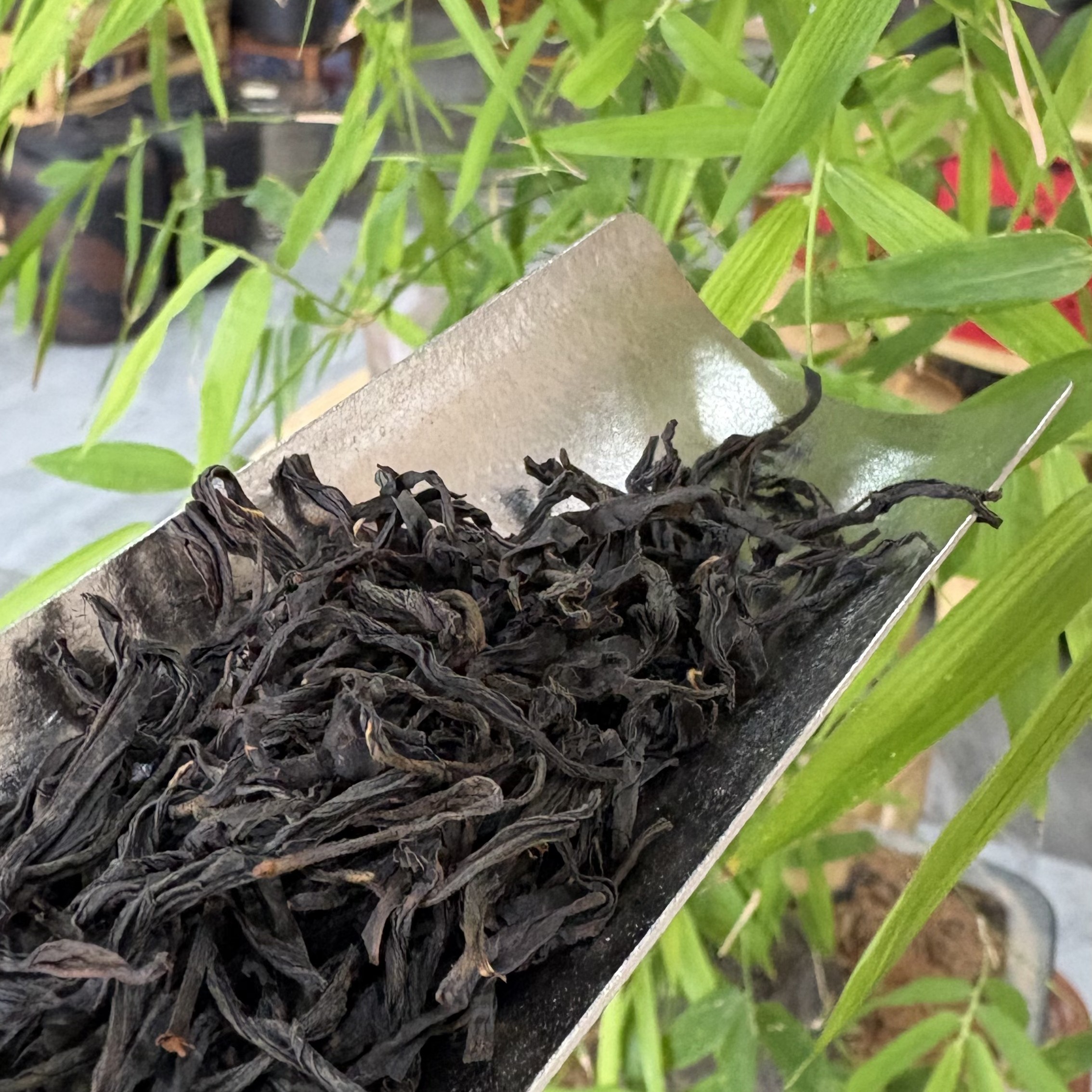 桐木关-正山小种-现代工艺-花果-2025年【沁雪亭】