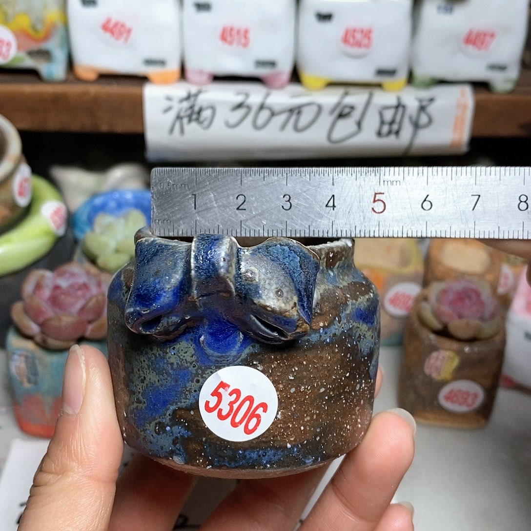 红陶拍5送一个小