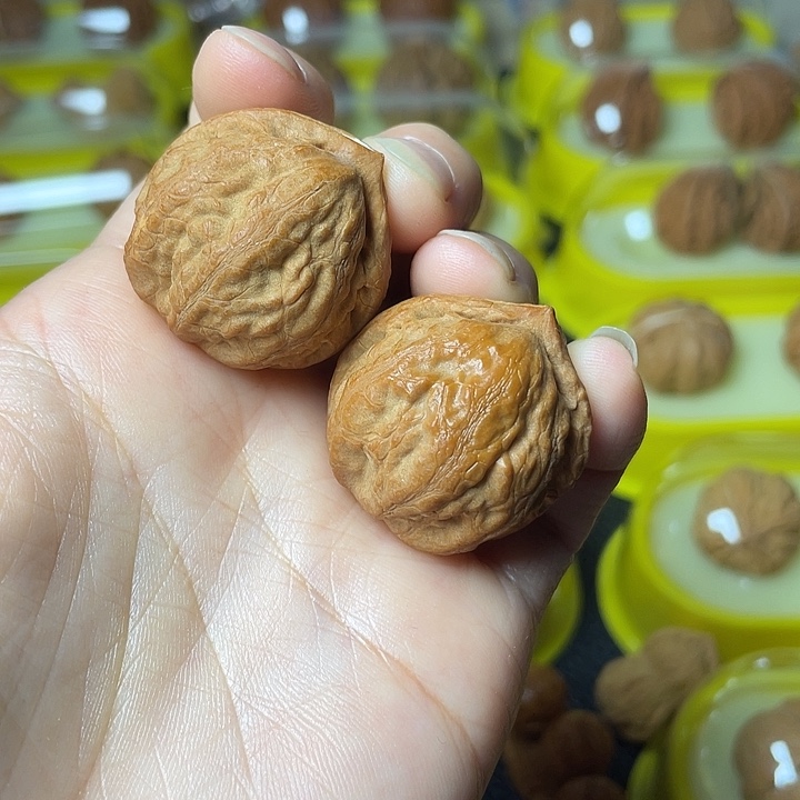 乐***-文玩核桃吊坠粗筋蚂蚁纹元宝