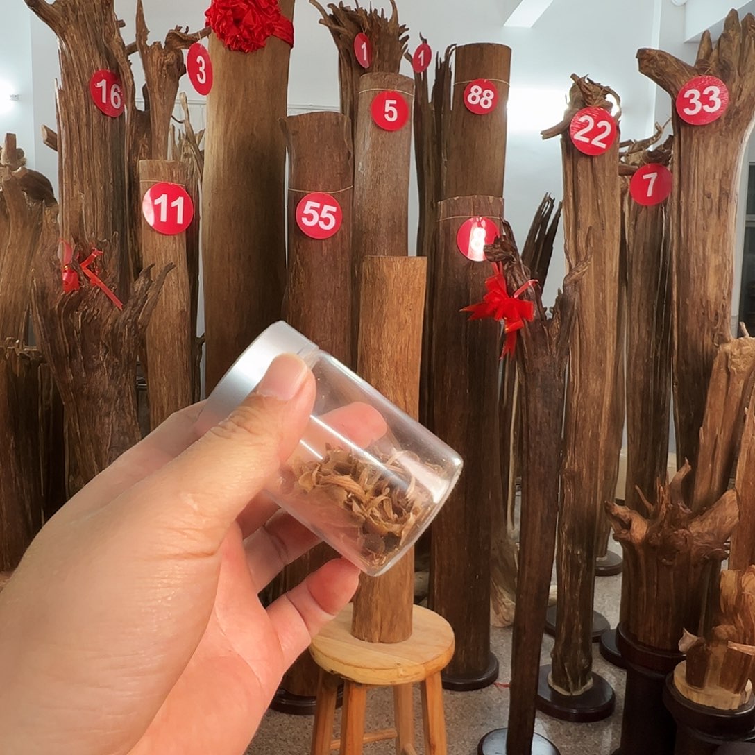 沉香沉香碎屑沉香原料H