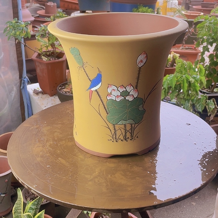 宜兴紫砂精品黄荷花兰花盆不加拖大