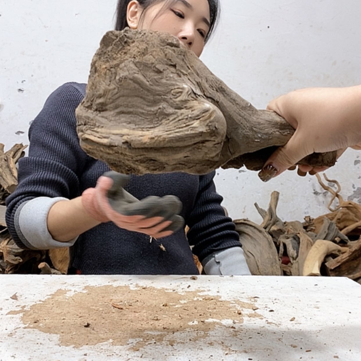 【闪购商品】柏木上*站我们都是好孩子