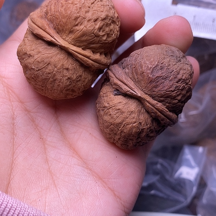 文玩核桃把件  36