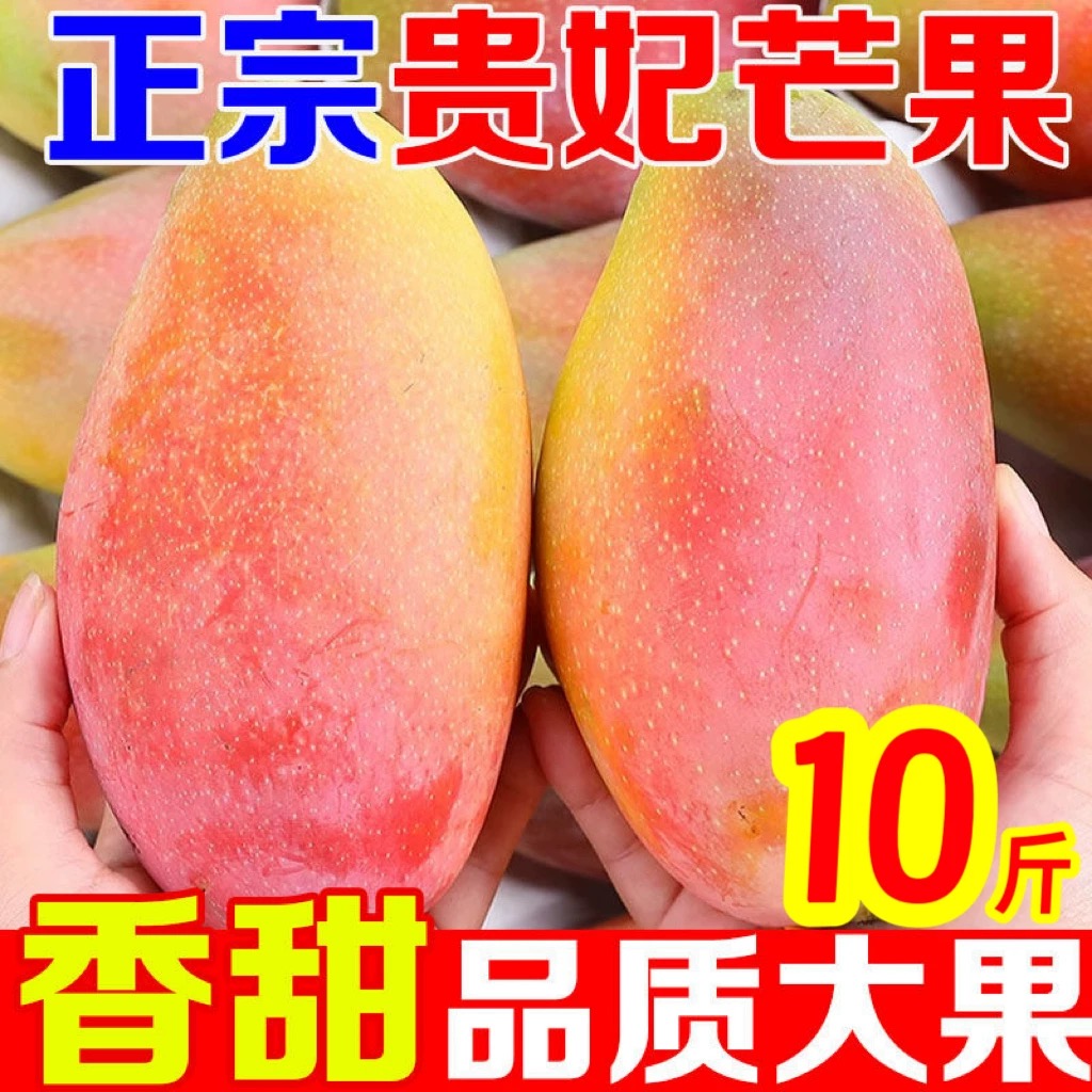 1️⃣广西贵妃芒果6斤10斤新鲜采摘需催熟食用应季水果香甜多汁无丝