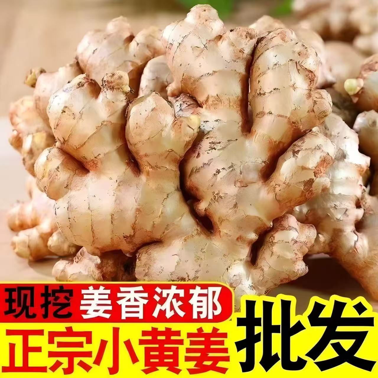 正宗云南高山小黄姜2025年新鲜现挖山地种植香味浓郁