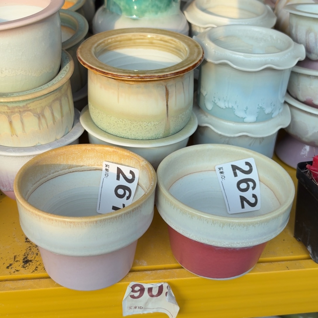 张***)景德镇多肉花盆261+262