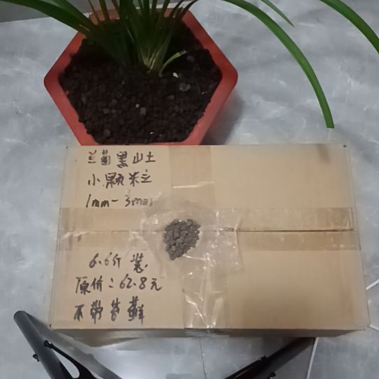 幽***兰兰菌黑山土小颗粒6.6斤