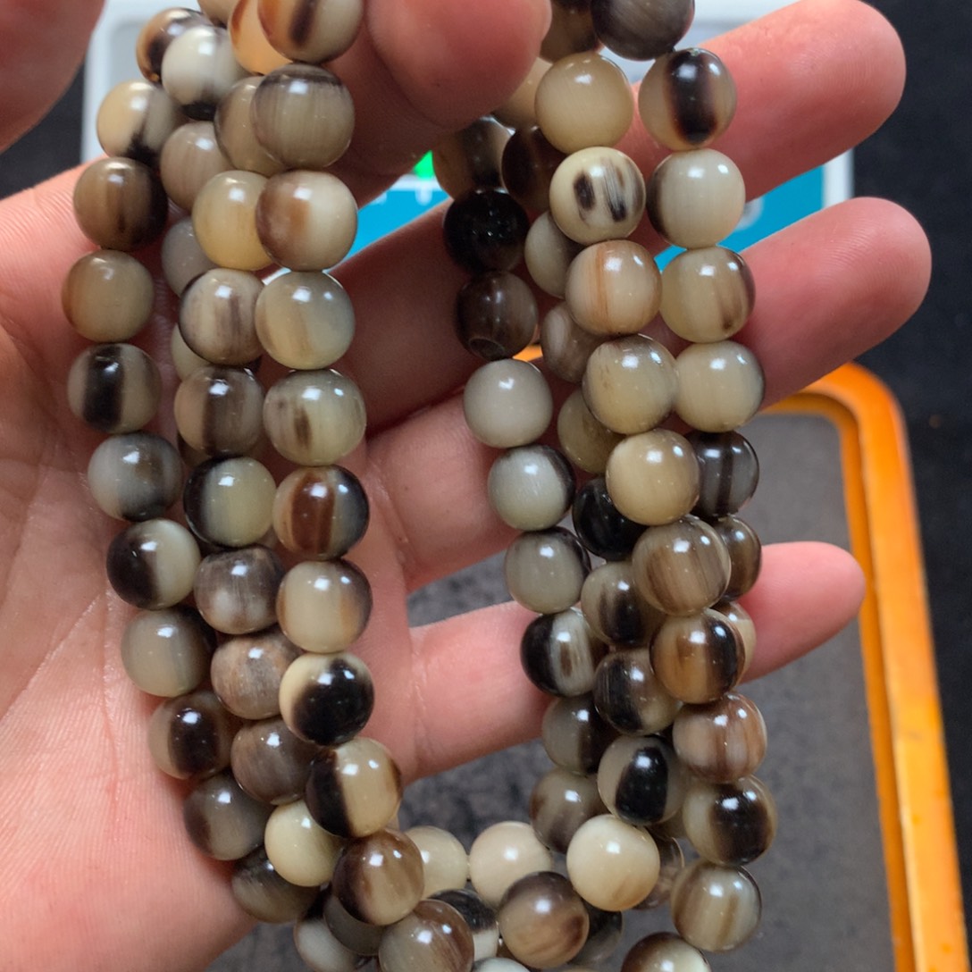 猛犸猛犸猛犸猛犸猛犸d24