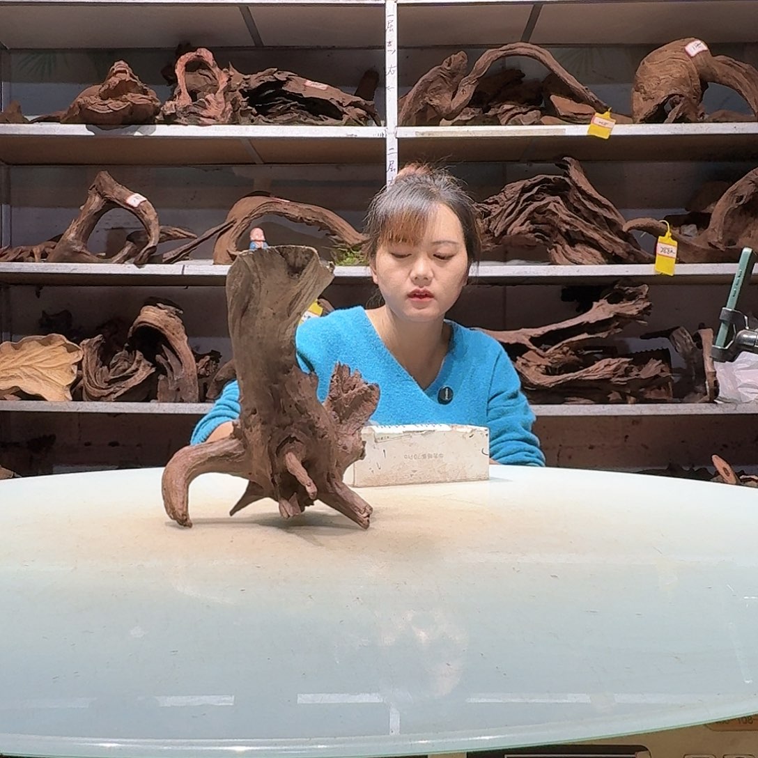 倍褚沉木不包损必褪色水**然6593