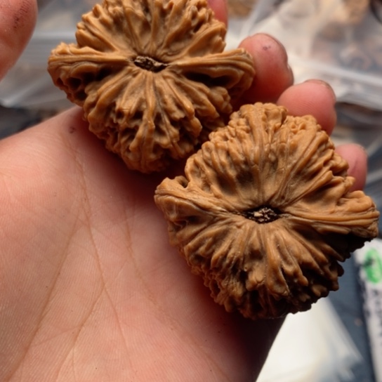 文玩核桃吊坠碧**天南疆石