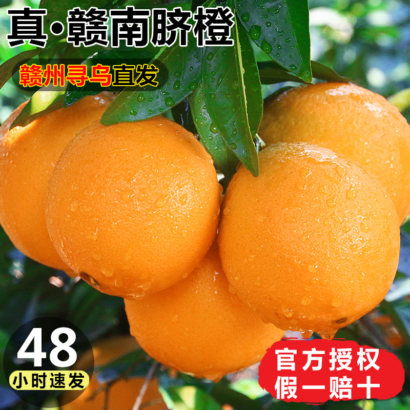 【坏果包赔】 正宗江西赣南早橙新鲜橙子3/5/9斤爆汁香甜