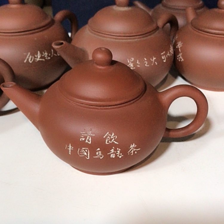 【闪购商品】茶壶紫砂这种人在我身上我就