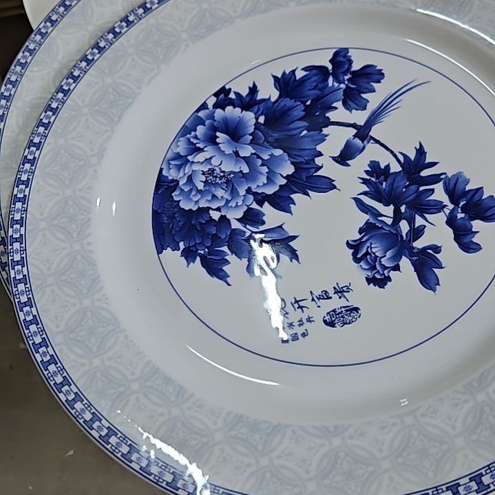 夏***玲瓷片微瑕珐琅彩10寸2个大盘666666