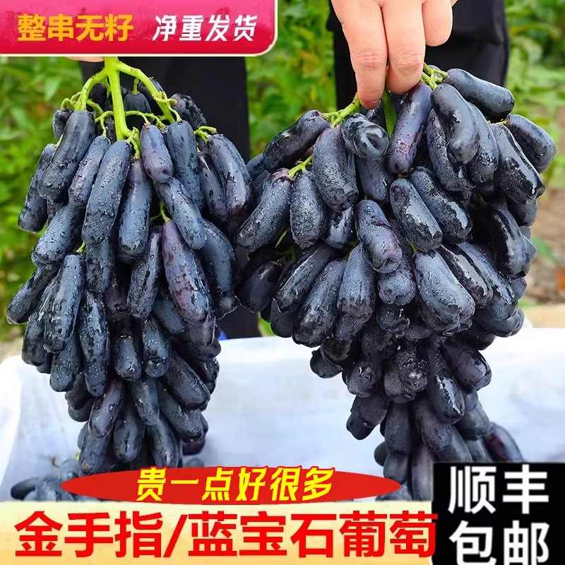 【顺丰包邮到家】蓝宝石葡萄新鲜当季现摘水果无籽黑美人冷链