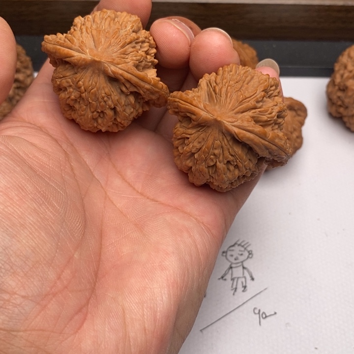 *****手串/手链核桃麦虎狮子头44➕迟➕