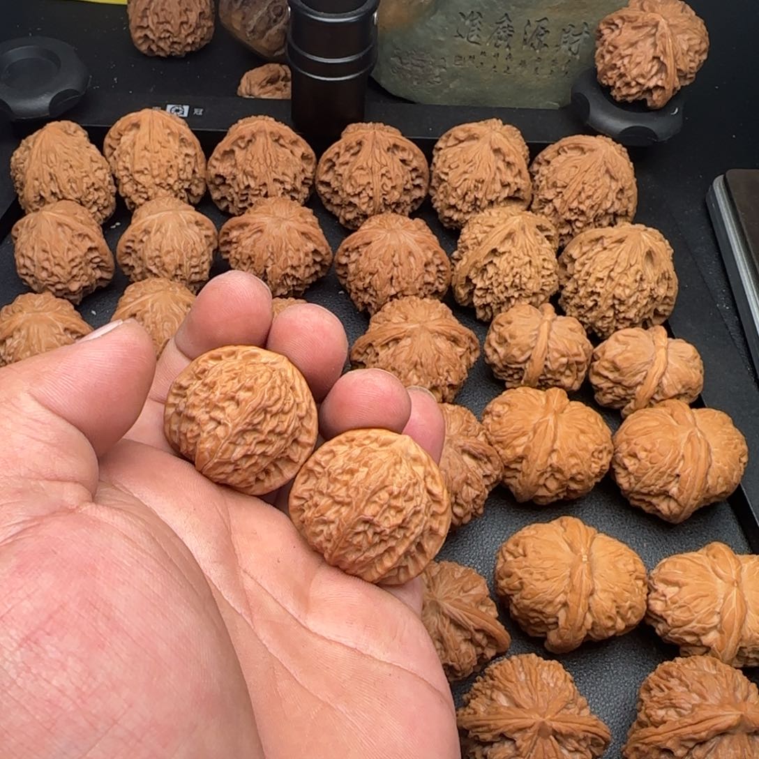 开***心33尺白狮子有黄无修