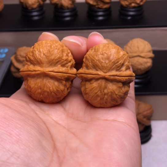 文玩核桃把件金龟子元宝29