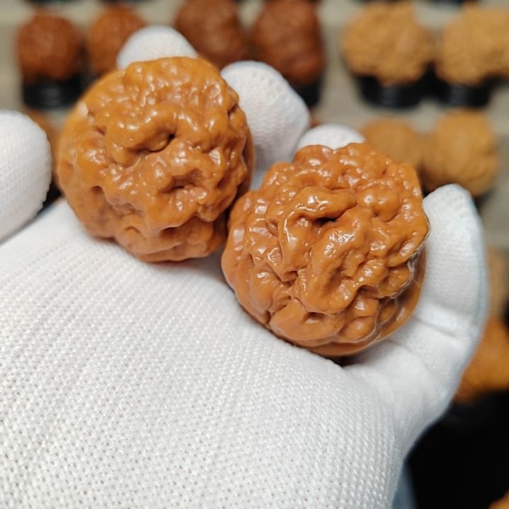 文玩核桃吊坠老五毒蟾40尺