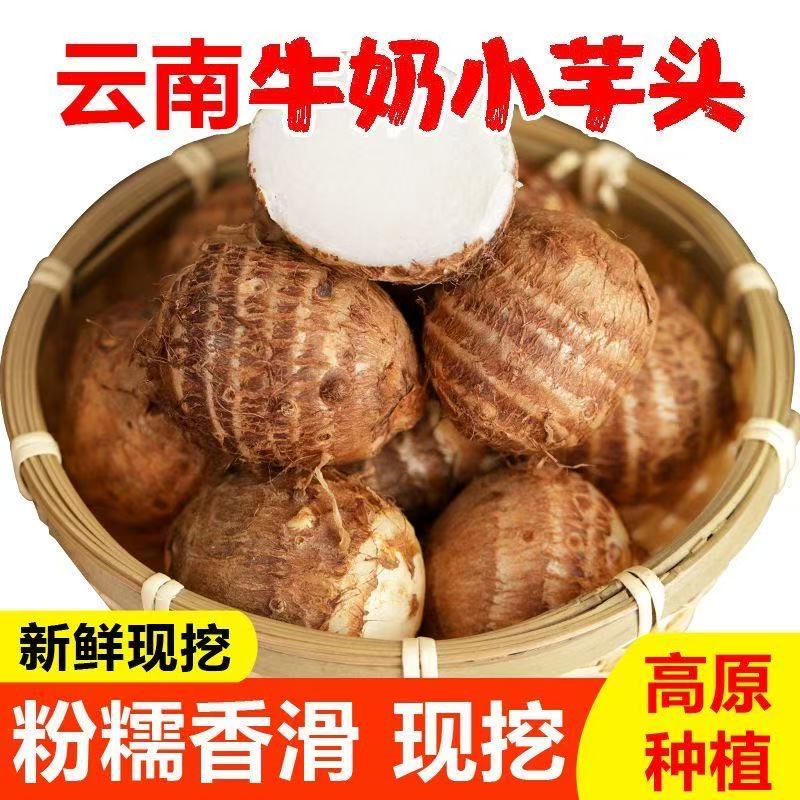 新鲜现挖牛奶小芋头香甜软糯应季上市产地直供