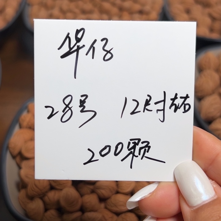 华***仔木质类雕刻料肚卡12 200颗
