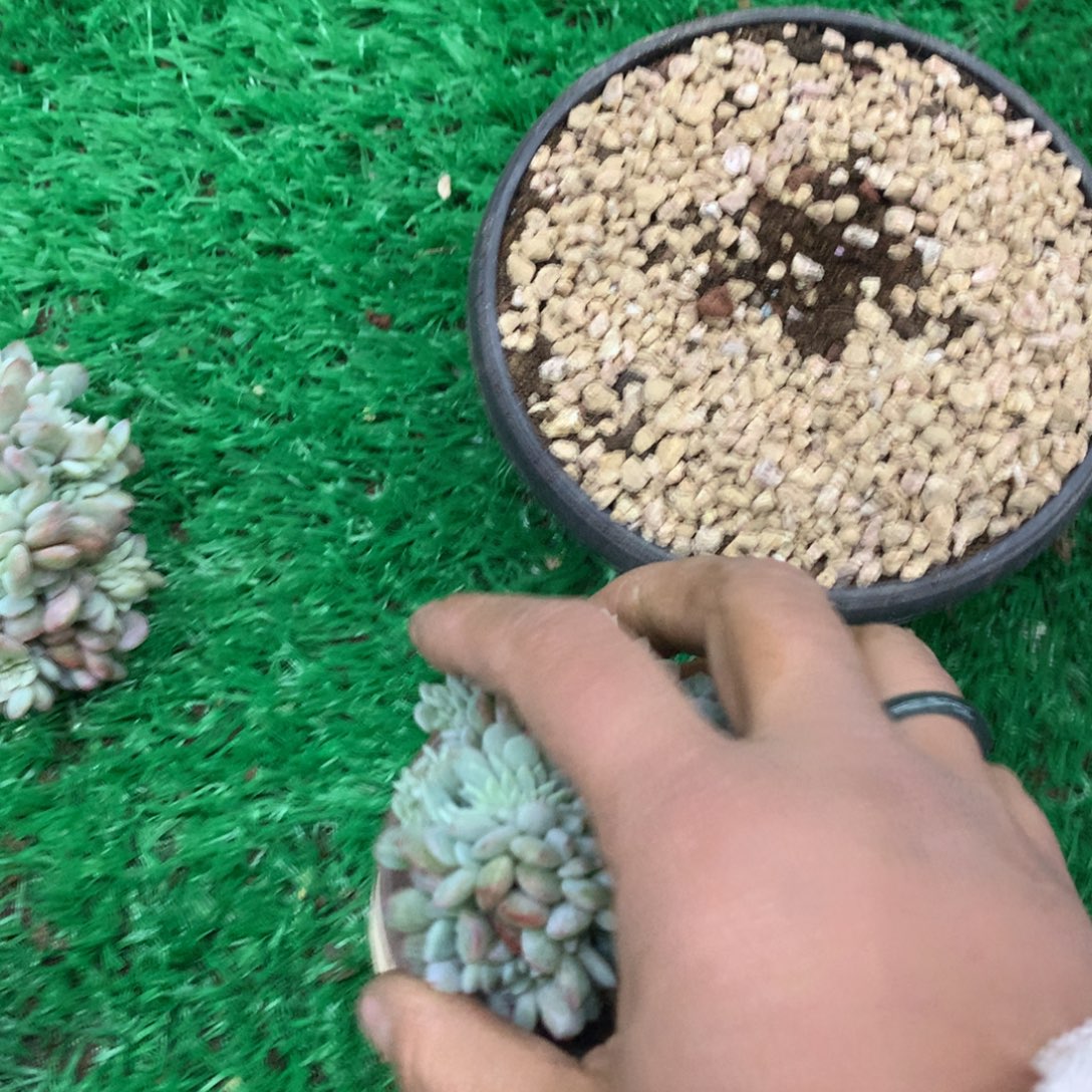 文***文111111111111111111111