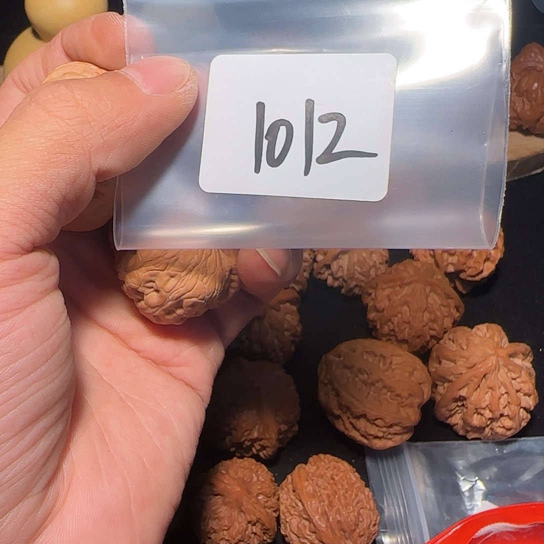 *****文玩核桃把件1012全品 40元宝