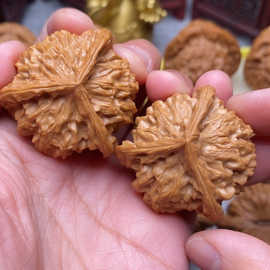 文玩核桃把件辰*子毕业盘山奔奔40尺