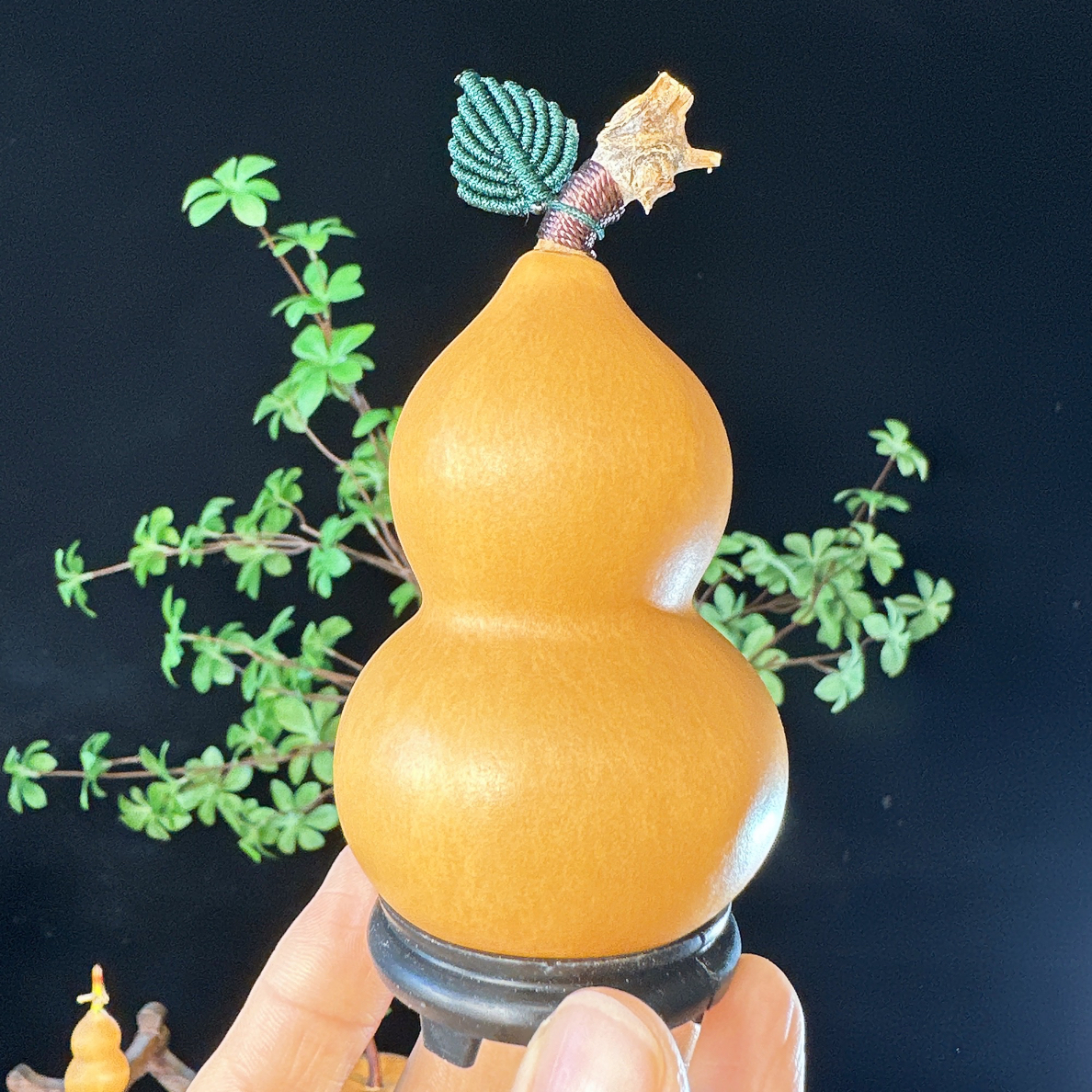 （直播间专用链接）精品葫芦手串手持草里金葫芦手把件葫芦