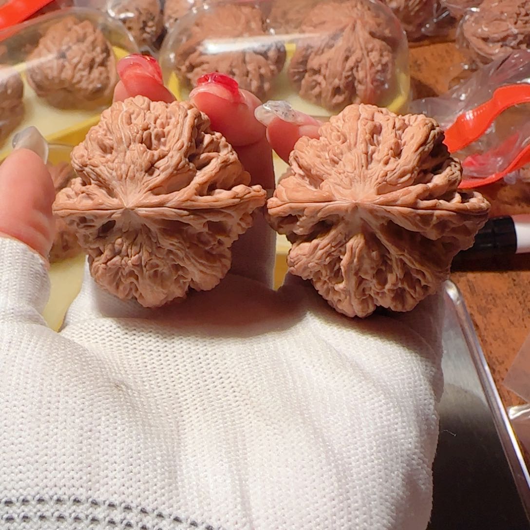 桃核吊坠44+全品大粗筋