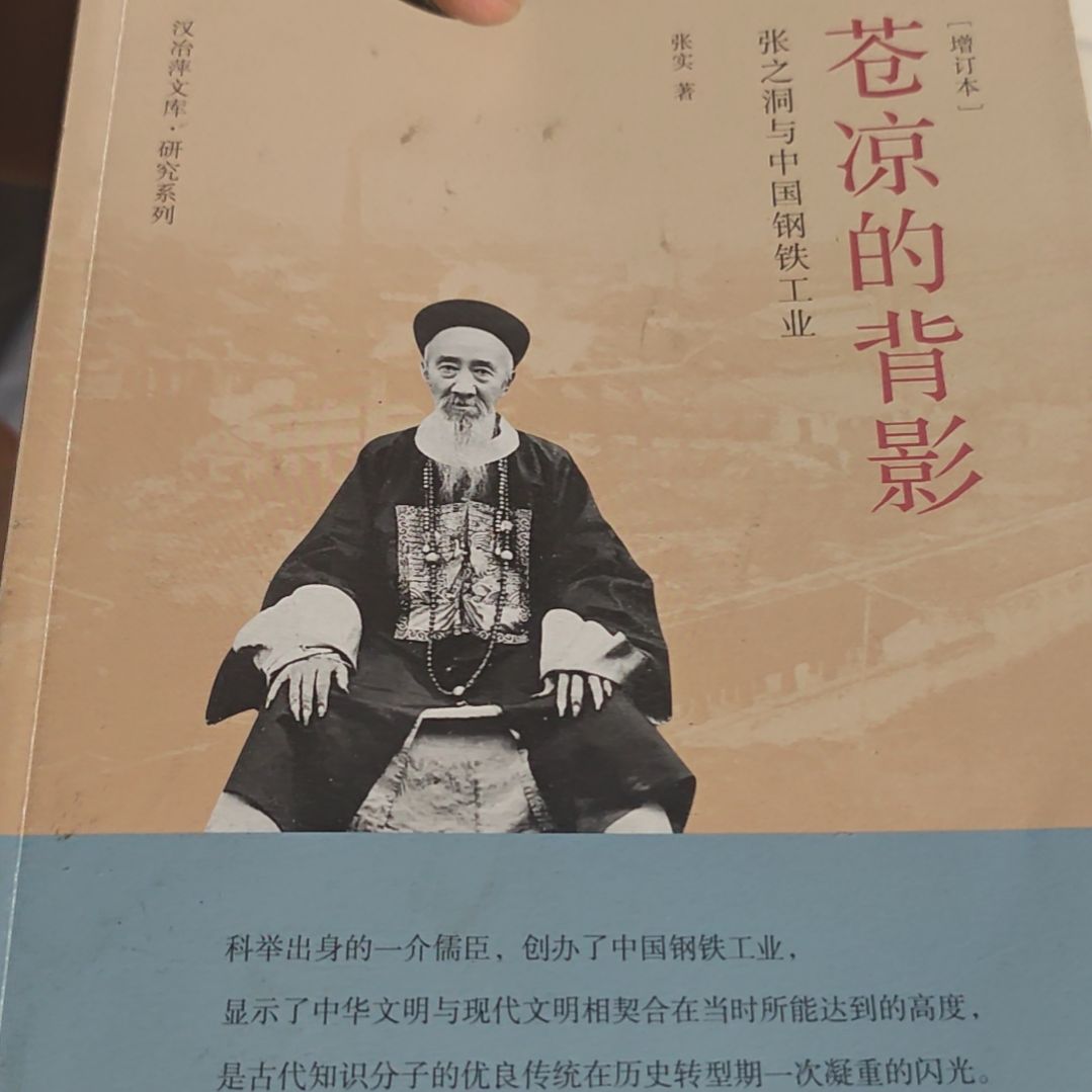 苍凉的背影平装库存书塑封