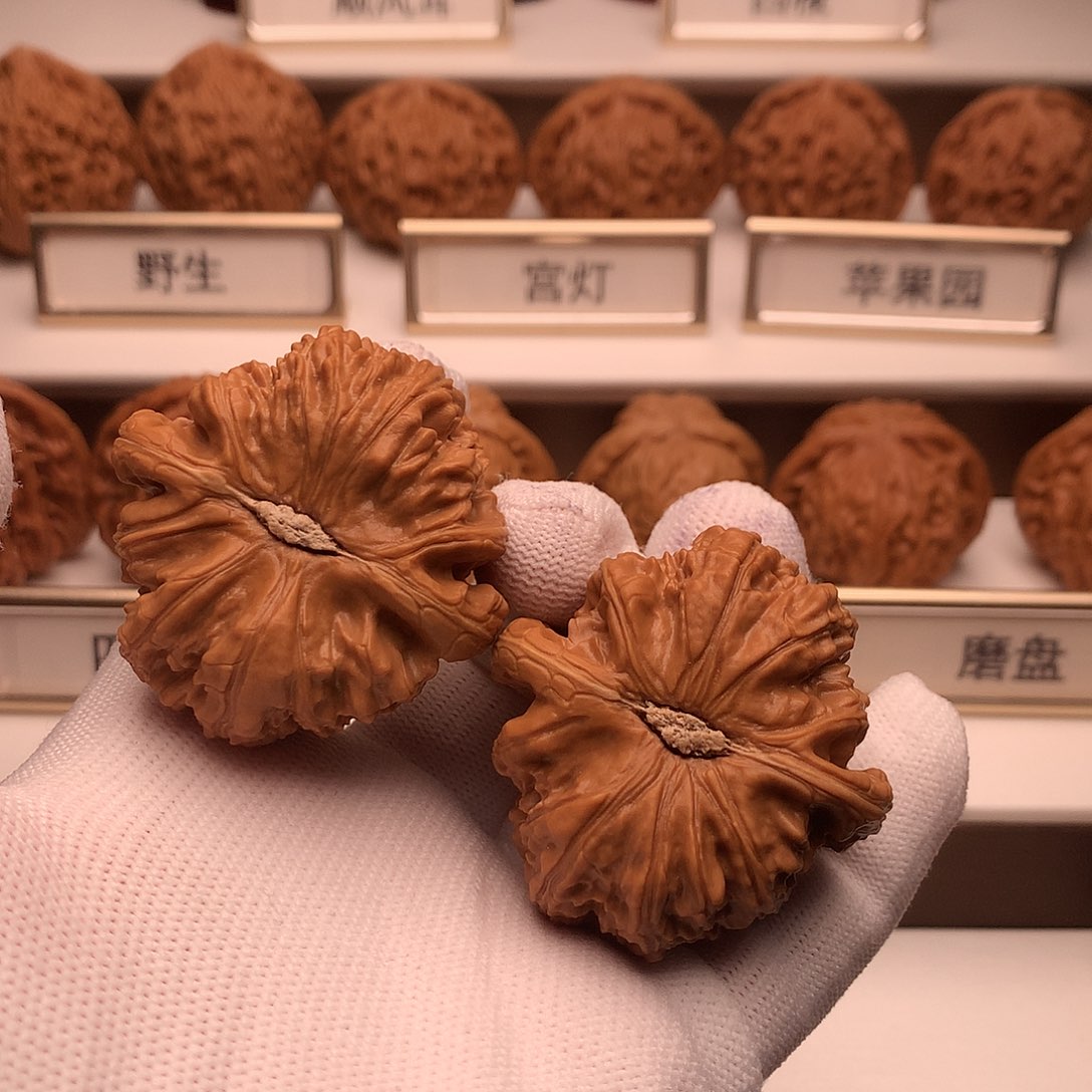 文玩核桃吊坠253号白狮子43