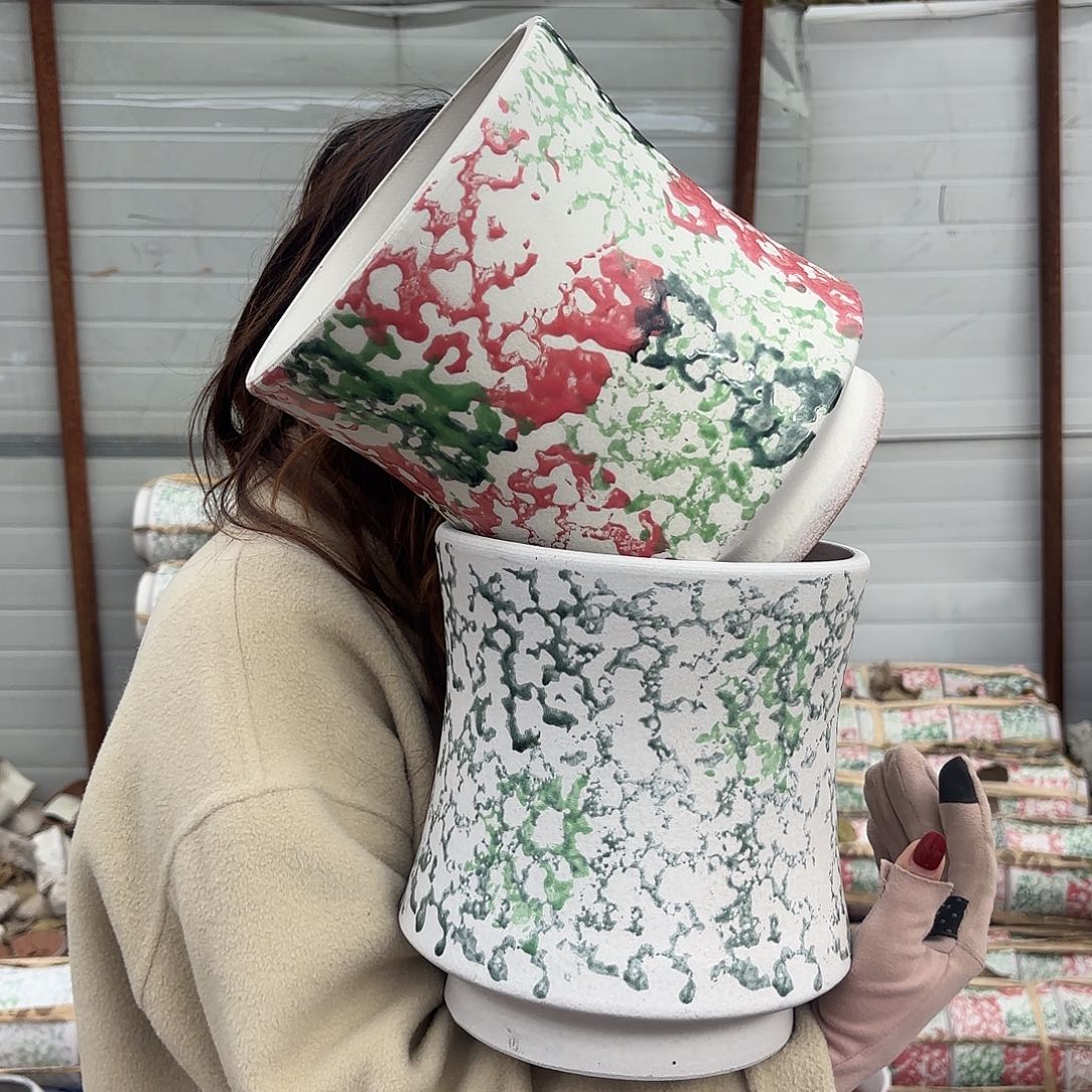 口20高22两个色蛮腰虎