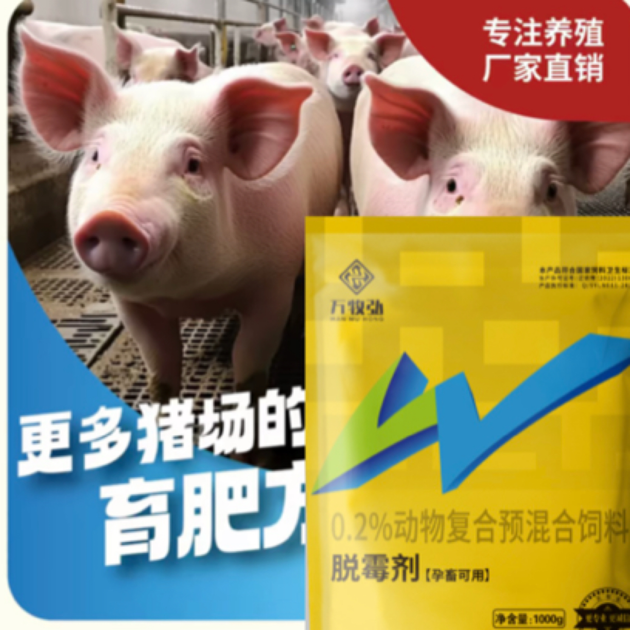 万牧弘脱霉剂一袋拌料1000斤