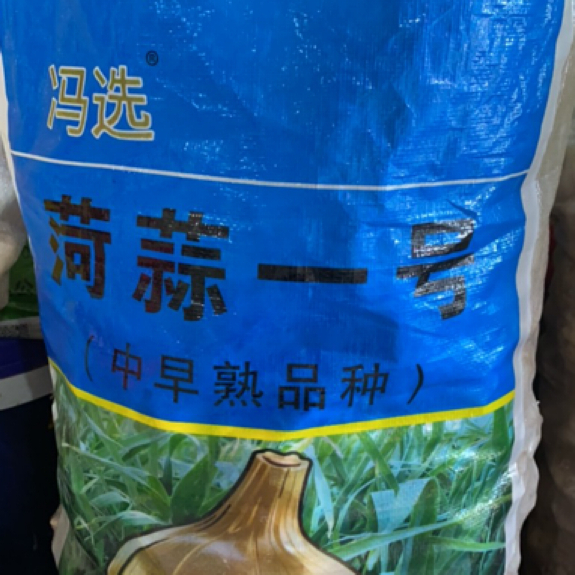 菏蒜一号中早熟品种新品种高产大蒜30公斤