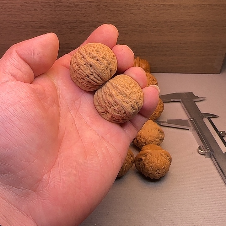 天****核桃33铁锤妹妹文玩核桃