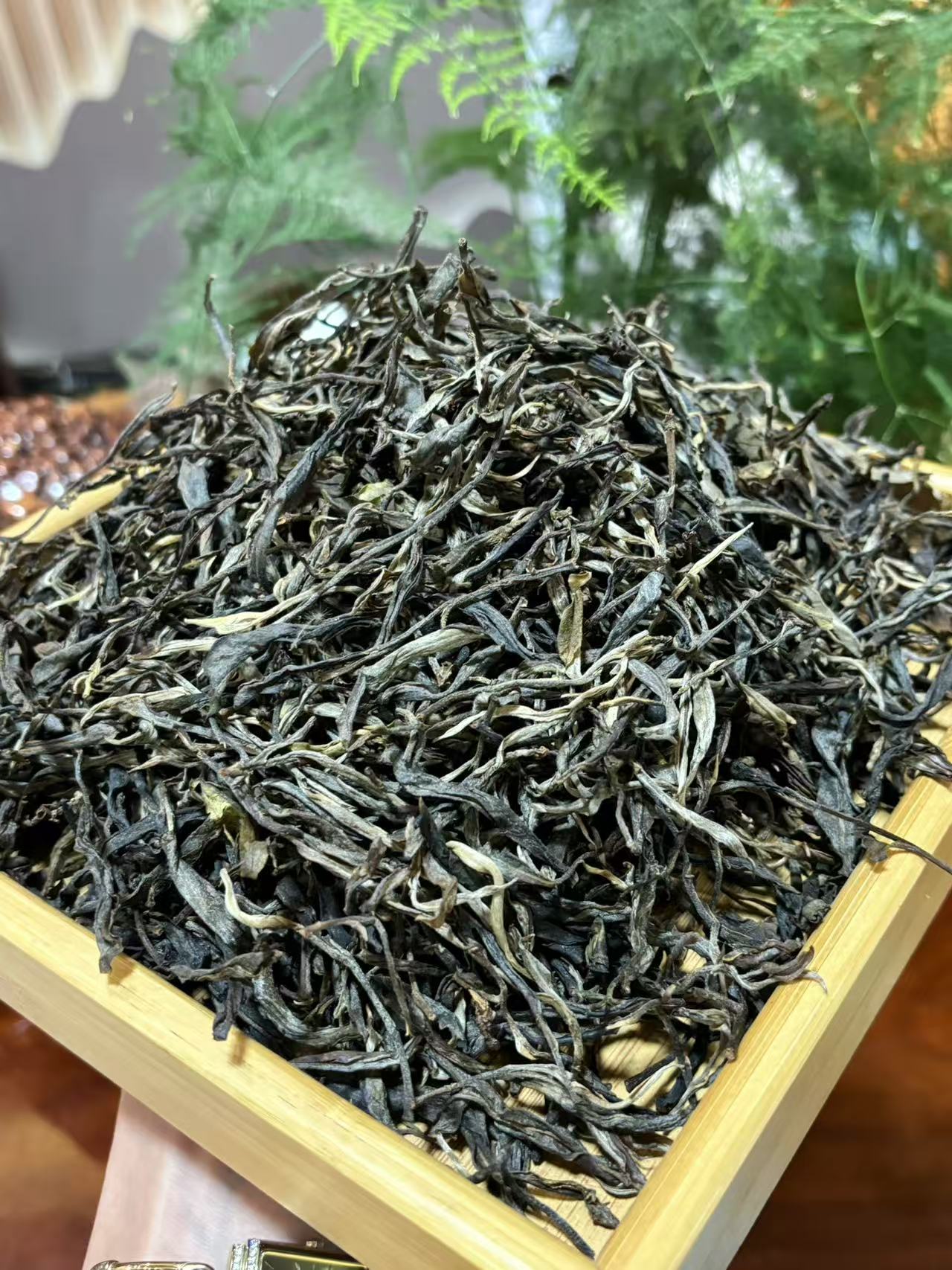 2025年冰岛南迫头春古树散茶