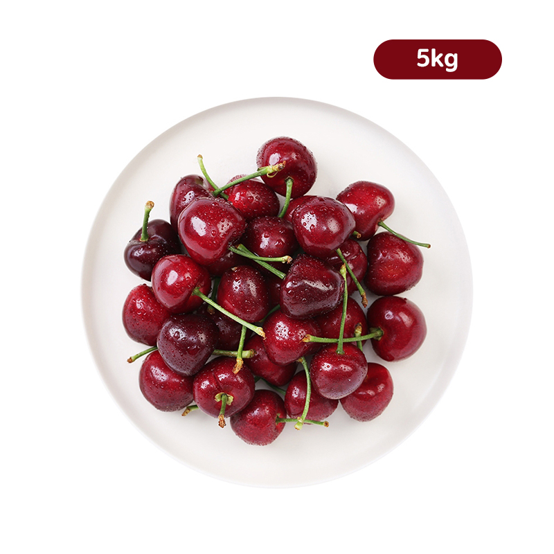 【新年礼盒】智利进口 车厘子5kg JJ箱装【包装随机发货，以实物为准】