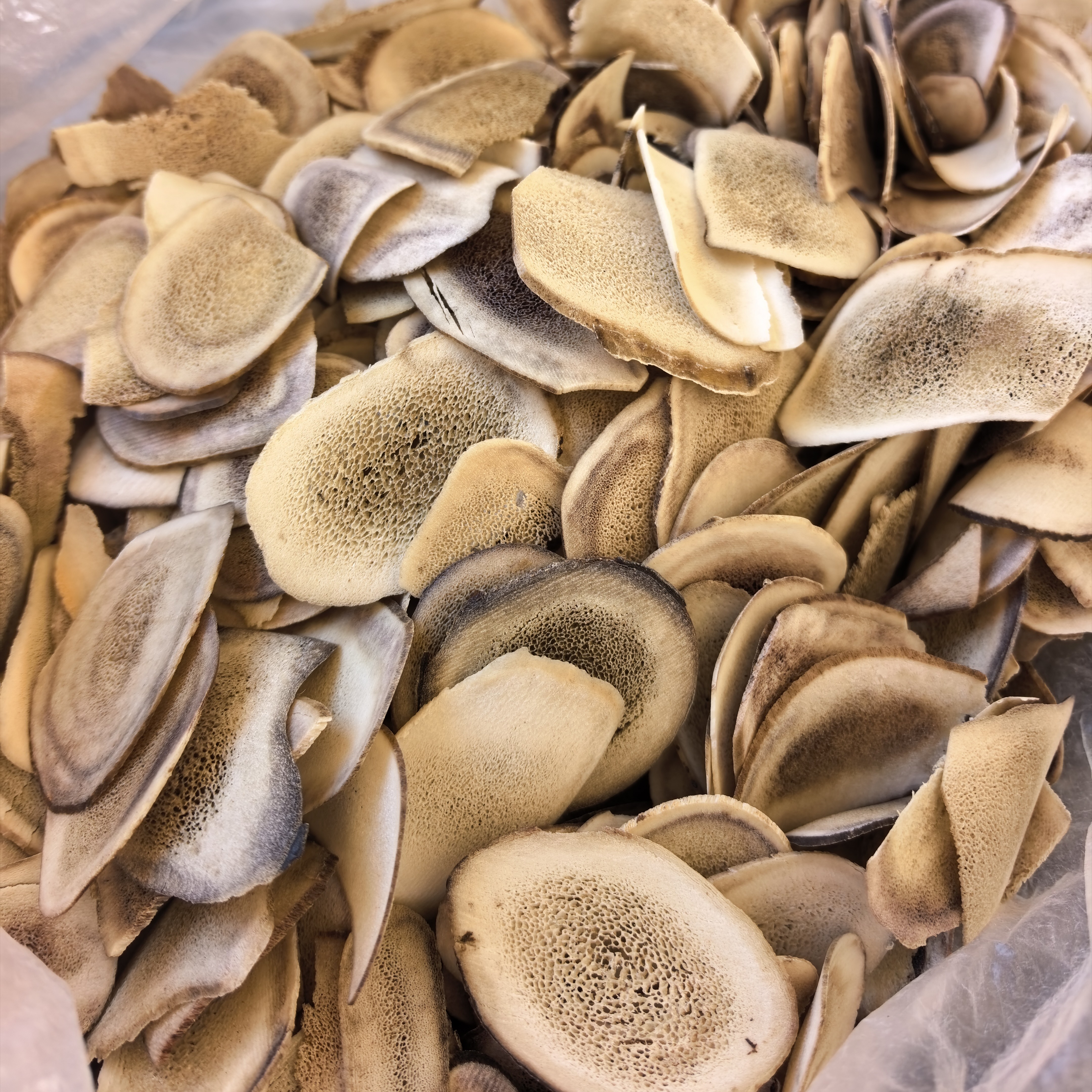 云南滇西土特产、农产品鹿～茸