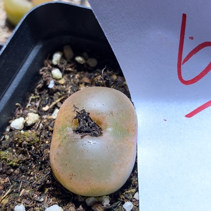 6146一个一个一个