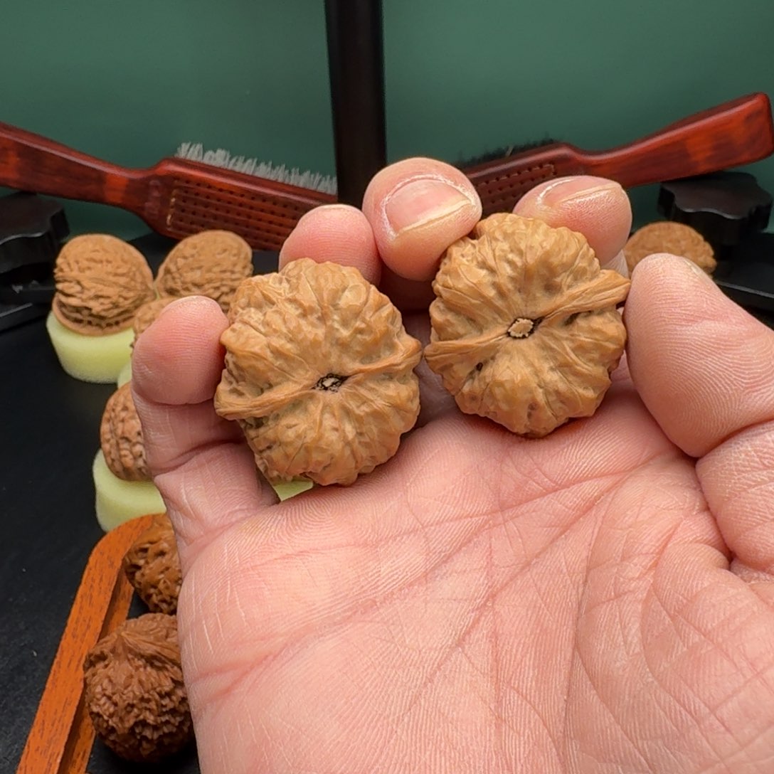 文玩核桃把件逗*玩蛤蟆