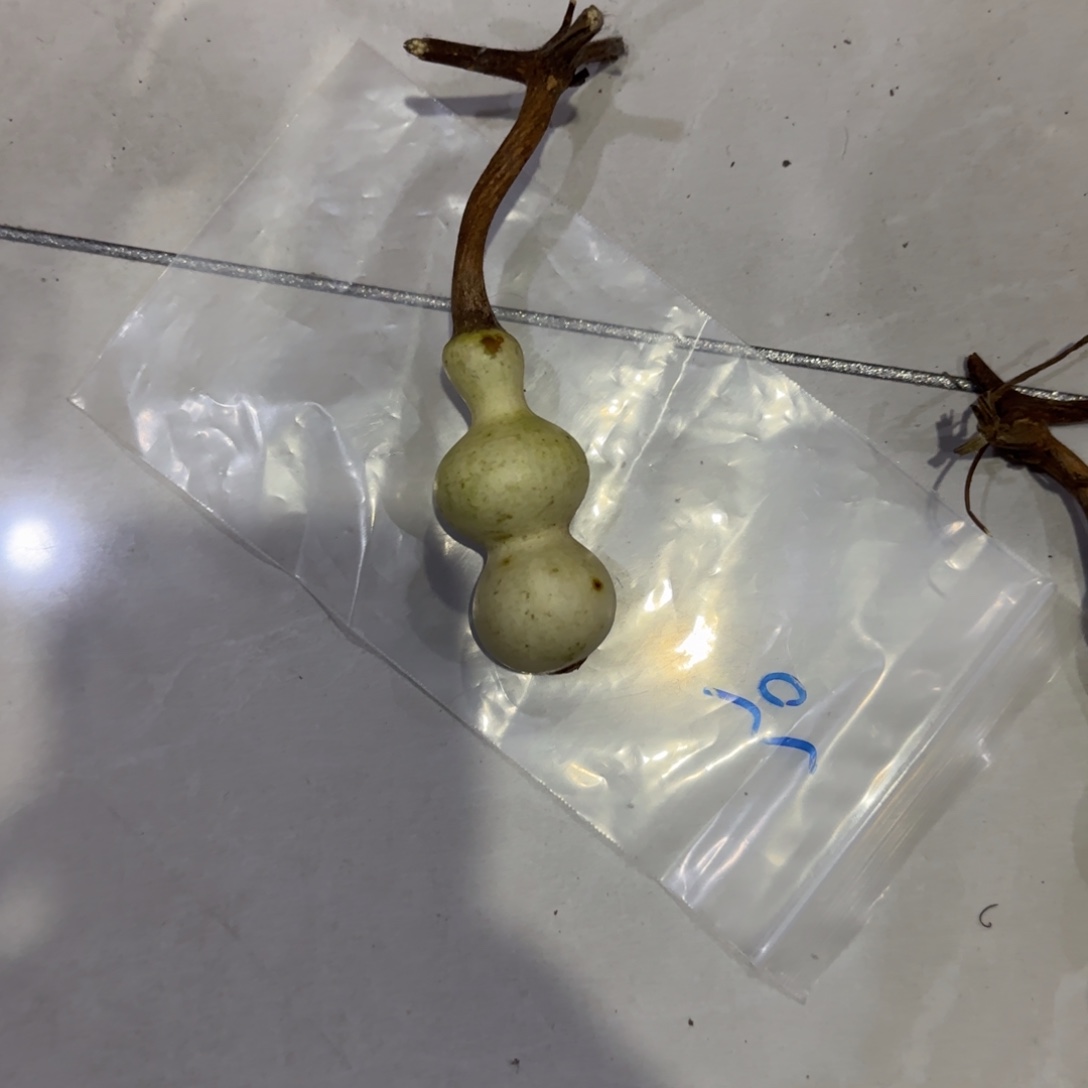 祥***华青皮不包成，，，，，，，，，，