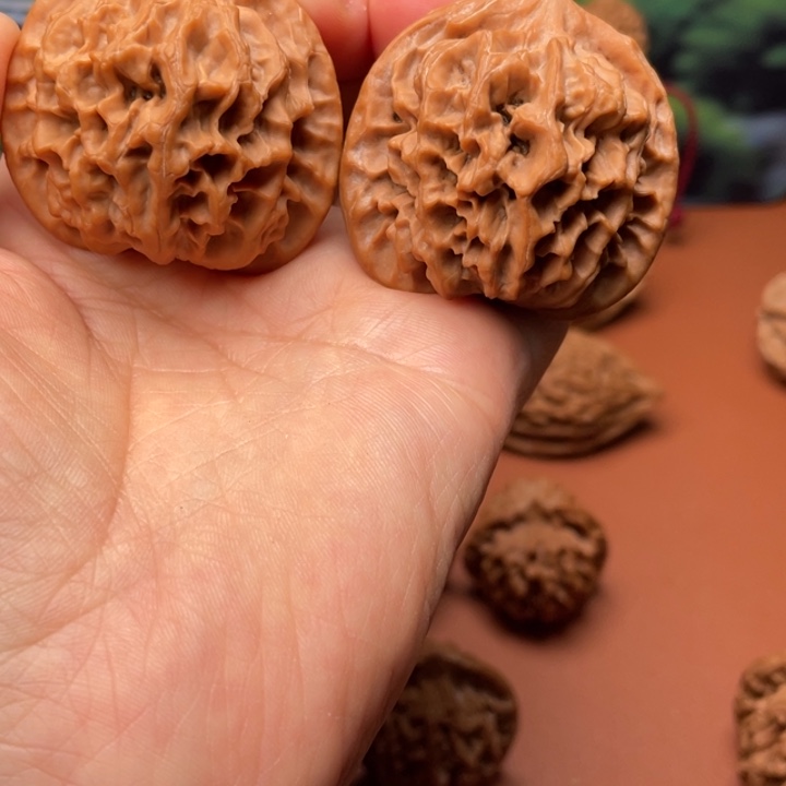 林***～核桃秦核等人的故事也在这里展开