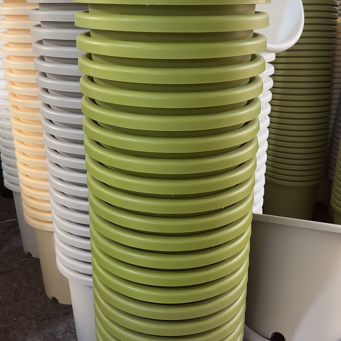 微瑕7号6个无托，果绿