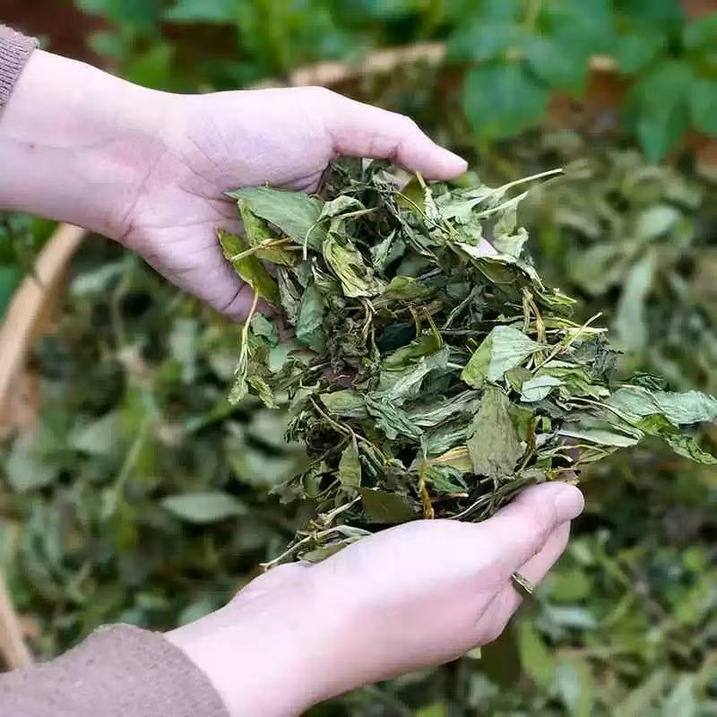 德化 农家自制自晒 苦菜干