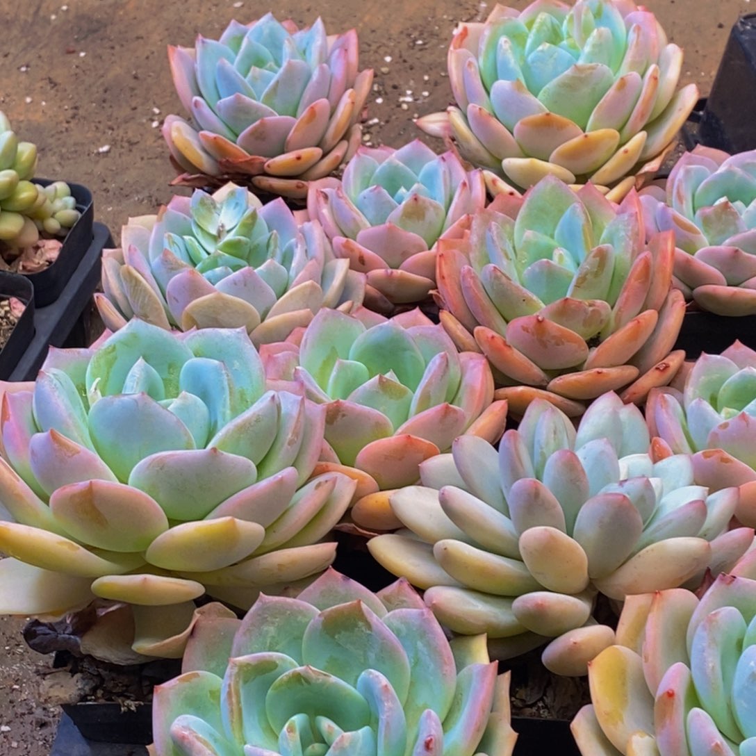 963失人者亡，你是谁呢