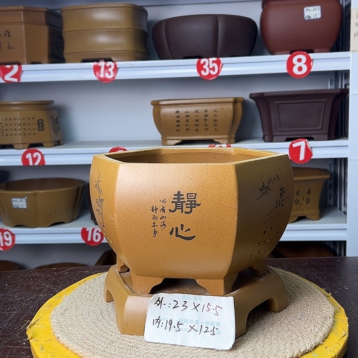 紫砂花盆你在一起