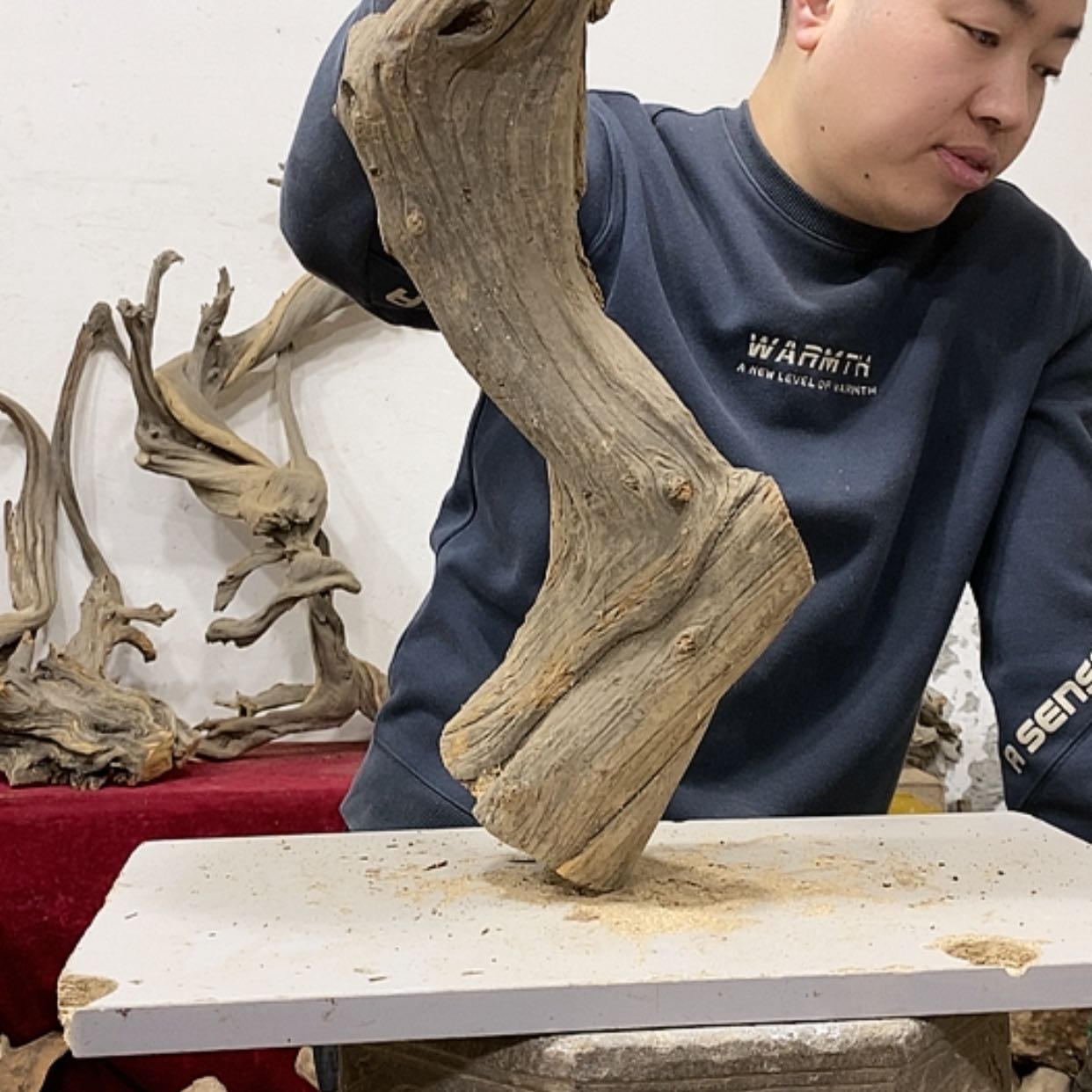 【闪购商品】柏木金**阑我们都是好孩子