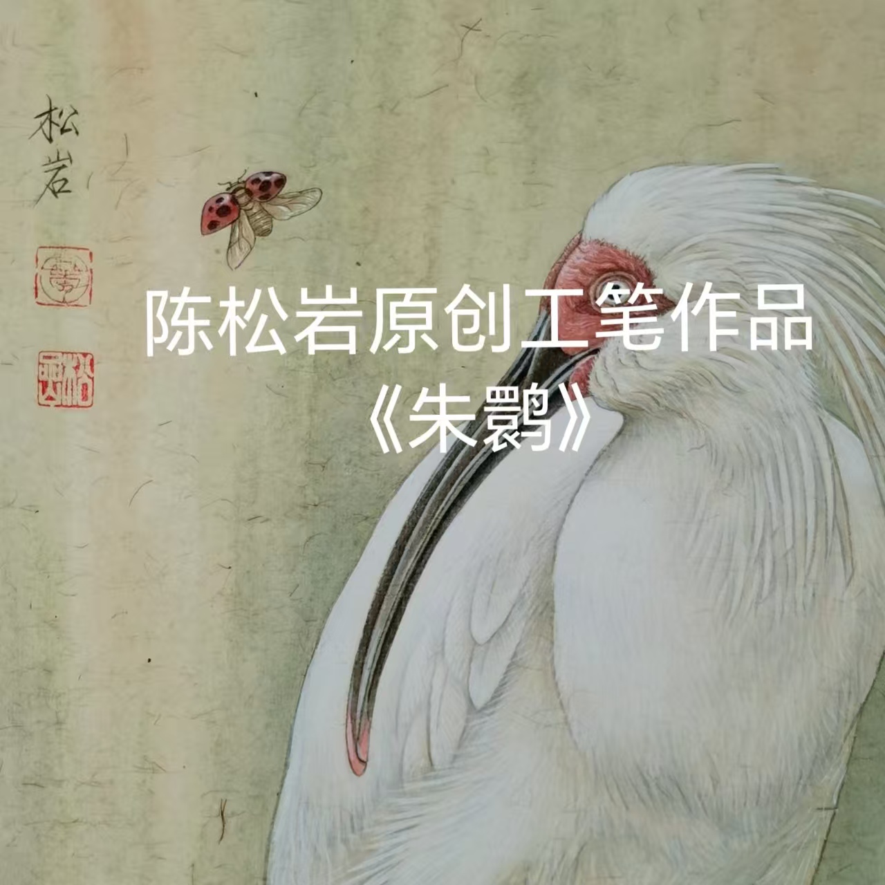 《朱鹮》共9讲  陈松岩原创工笔课