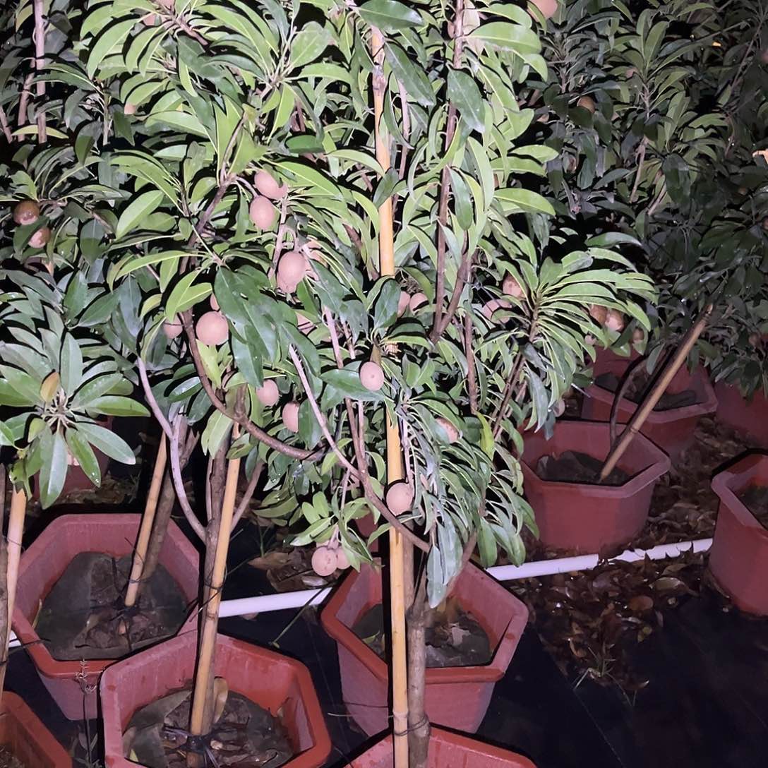 无花朵2222我也想要这样的男朋友