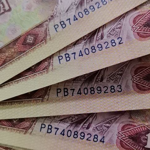 801金龙王全新的直版原票